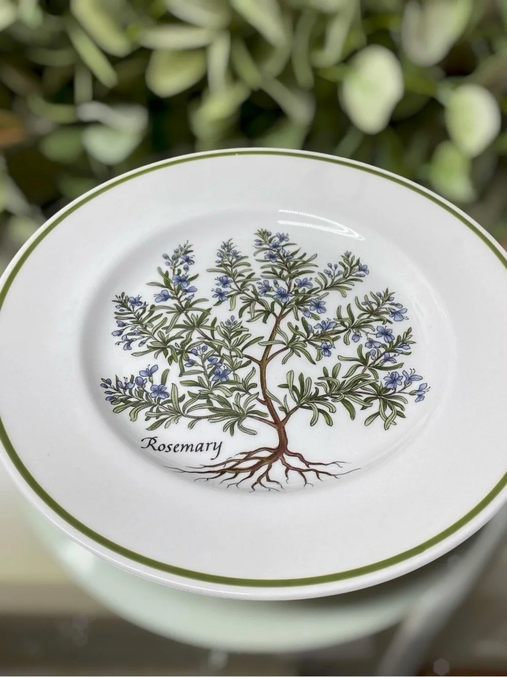 3 Tiffany & Co Johnson Brothers Herbs Salad Plates 7 7/8” Rosemary Sage Parsley
